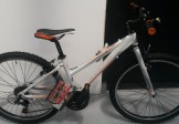 Raleigh Talus 1.0