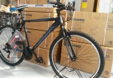 Raleigh Talus 1.0 26